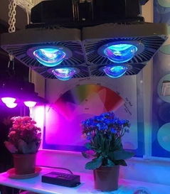 2018上半年各大巨頭如何布局植物照明